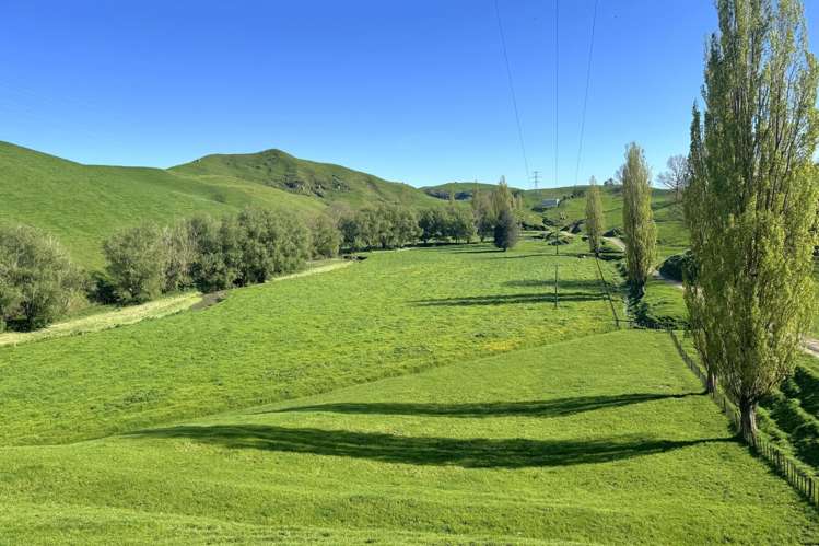 161 Veale Road Otorohanga_22