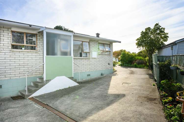 21 Flower Street Bulls_29