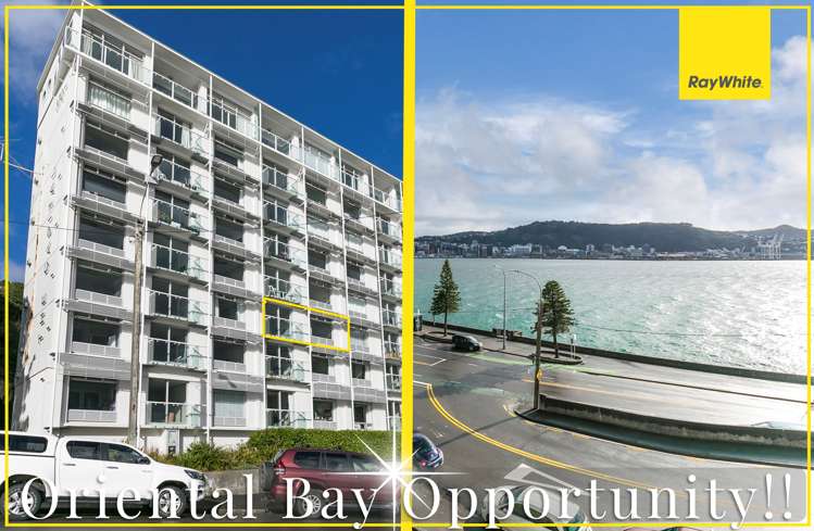 11/370 Oriental Parade Oriental Bay_0