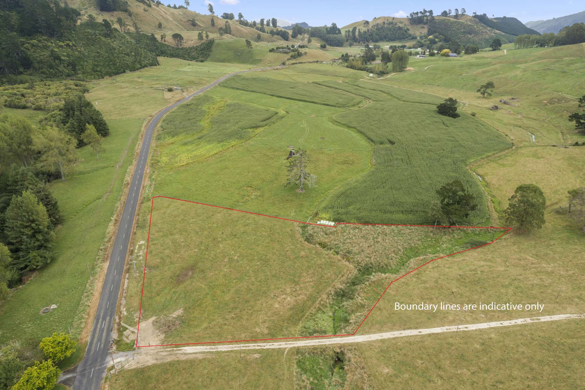 3/1272 Te Kopia Road Waikite Valley_0