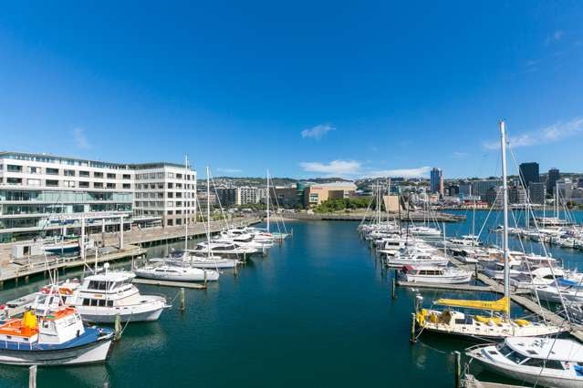 3b/6 Clyde Quay Wharf Te Aro_1