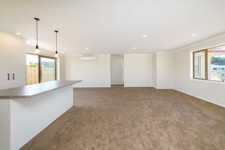 43 Hereford Street Marton_13