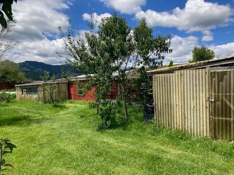 102 Puriri Valley Rd Puriri_24