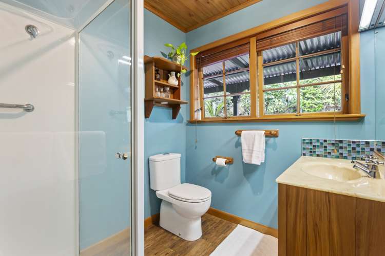 23a Martin Avenue Mount Albert_19