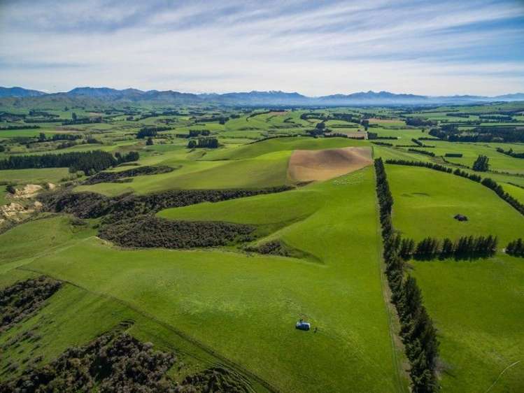 307 Broxton Road MacDonald Downs_7