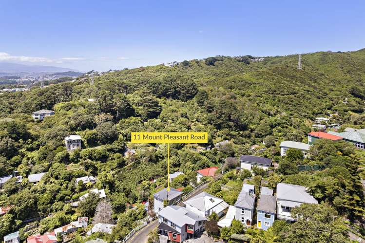 11 Mt Pleasant Road Aro Valley_20