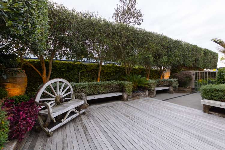 234a Albert Street Hokowhitu_21