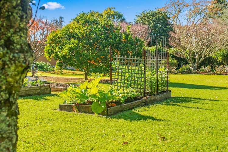 19 Kendall Road Kerikeri_39
