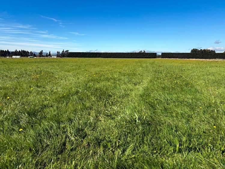 85 George Street Edendale_5