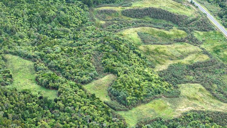 40Ha Block State Highway 67 Mokihinui_30