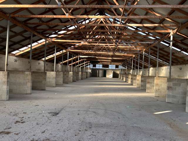 146 Victoria Road South Dunedin_2