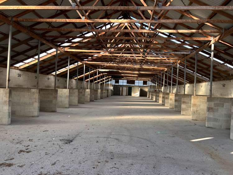 146 Victoria Road South Dunedin_2