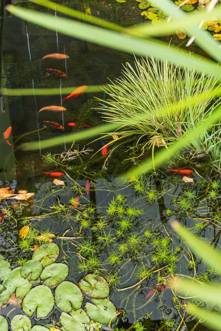 15 Oakwood Way Papamoa_15