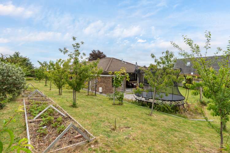 75 Shepherd Road Waipahihi_14