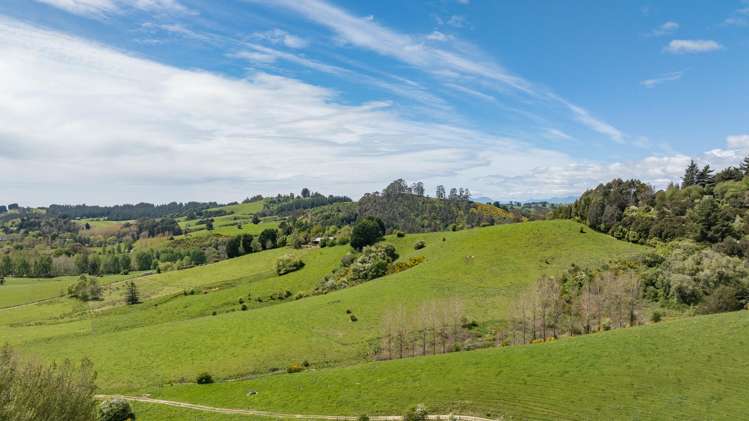 98 Thorpe-Orinoco Road Ngatimoti_23