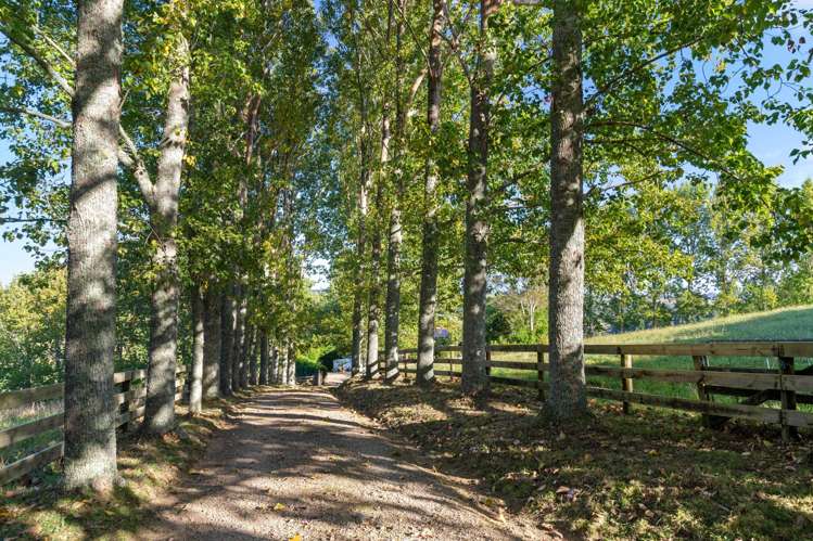 11B Gelling Road Ararimu_18