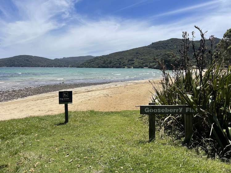 420 Shoal Bay Road Great Barrier Island_21