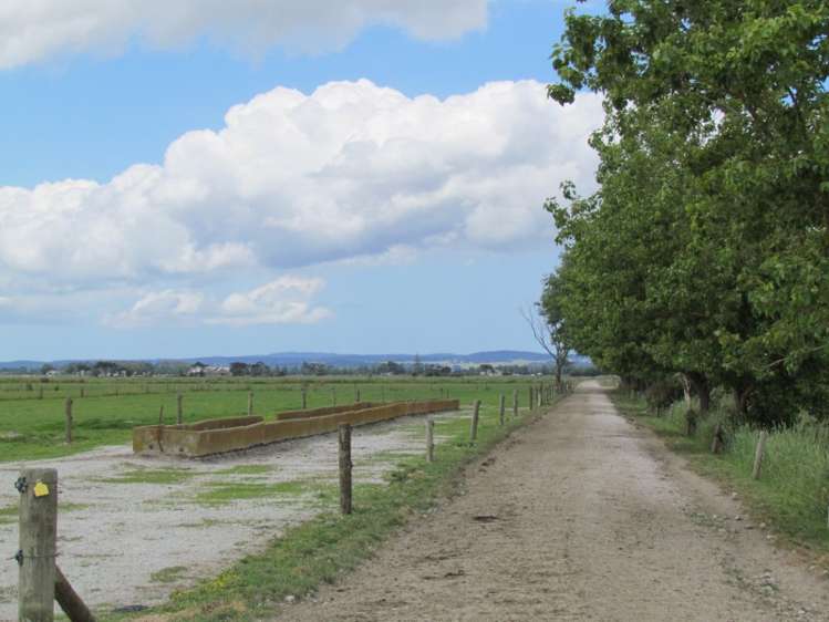 354 Access Road Ruawai_22