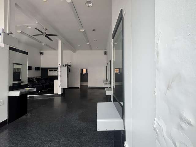 161 Jackson Street Petone_3