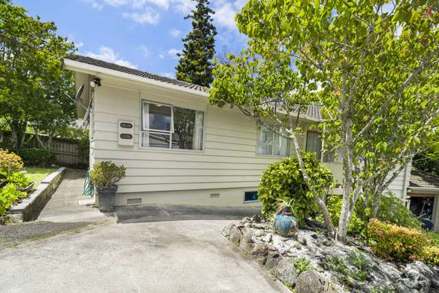 156 Seabrook Avenue New Lynn_1