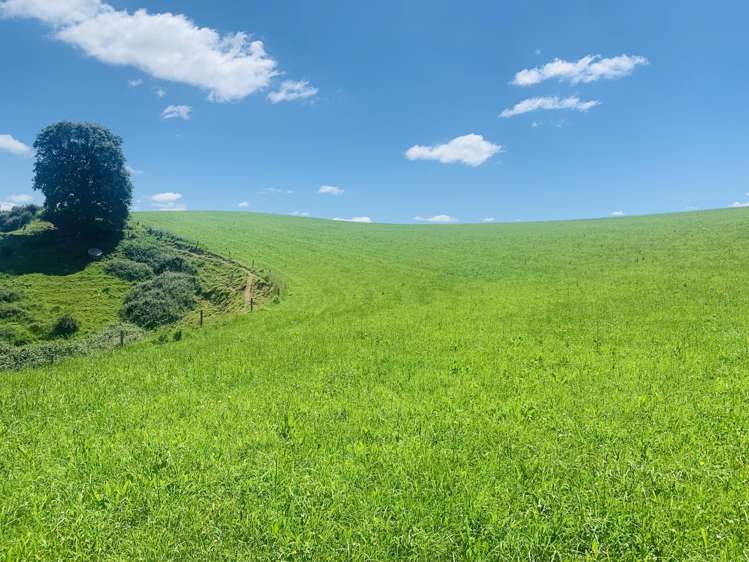 231B Morgan Road Matamata_22