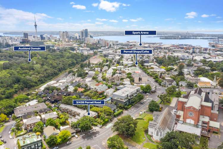 3/439 Parnell Road Parnell_20