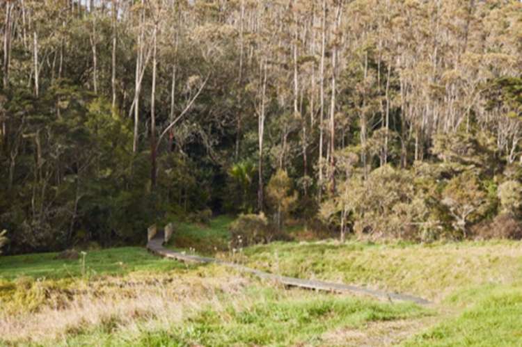 3 Takahuri Place Hibiscus Coast Surrounds_16