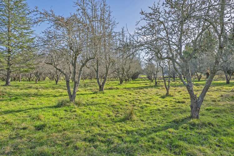 297 Loburn Whiterock Road Loburn_18