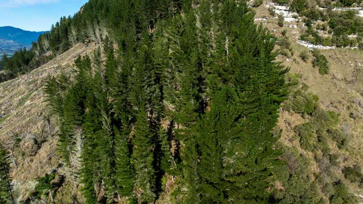 Four Rivers Highway Murchison_13