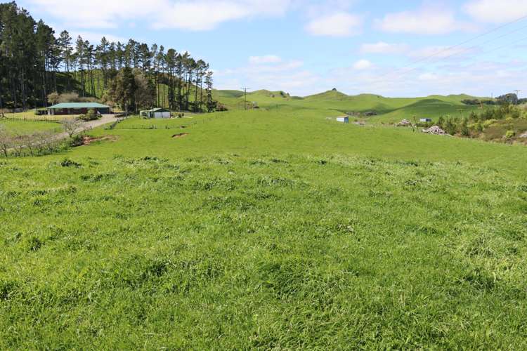 318 Kupara Road Tariki_1