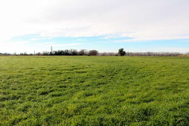 Totara Valley Road Pleasant Point_2