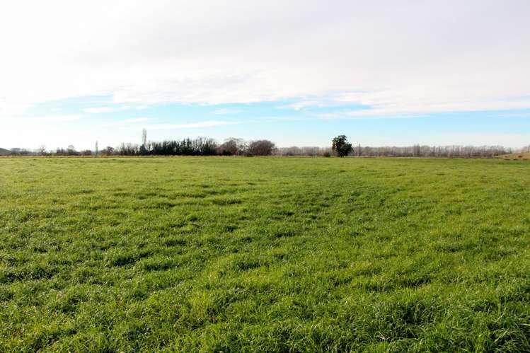 Totara Valley Road Pleasant Point_2