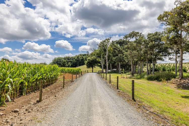 66 Kokopu Block Road Maungatapere_21