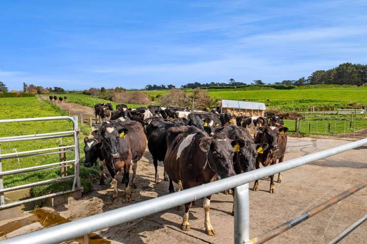 455 Lower Duthie Road Kaponga_43