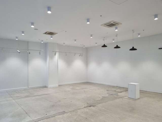 Ground/154 Featherston Street Wellington Central_4