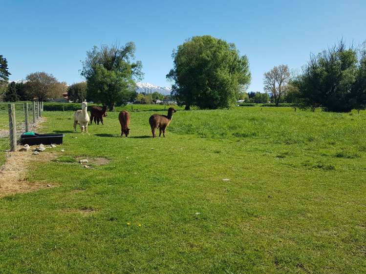 18 Nixons Road Fairlie_21