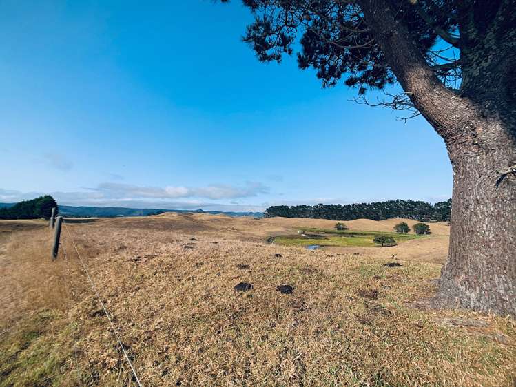 71 Clarke Road Ahipara_20