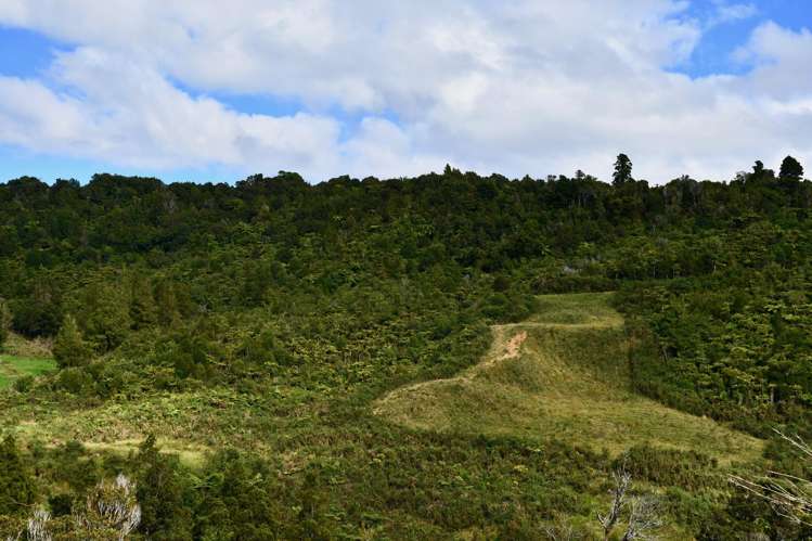 40Ha Block State Highway 67 Mokihinui_10