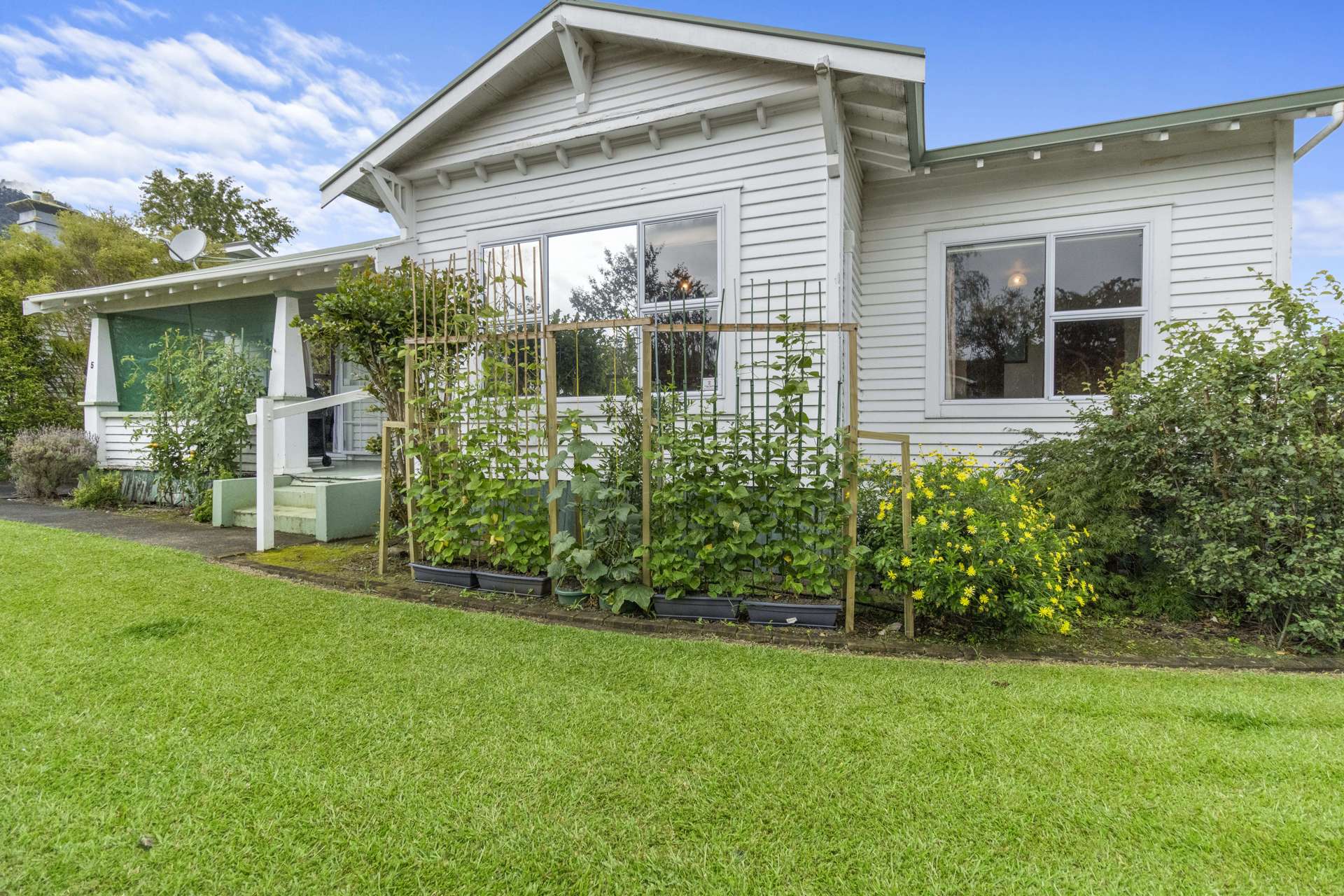 5 Jackson Street Te Aroha_0