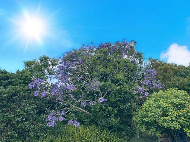 53 Pah Road Onerahi_3