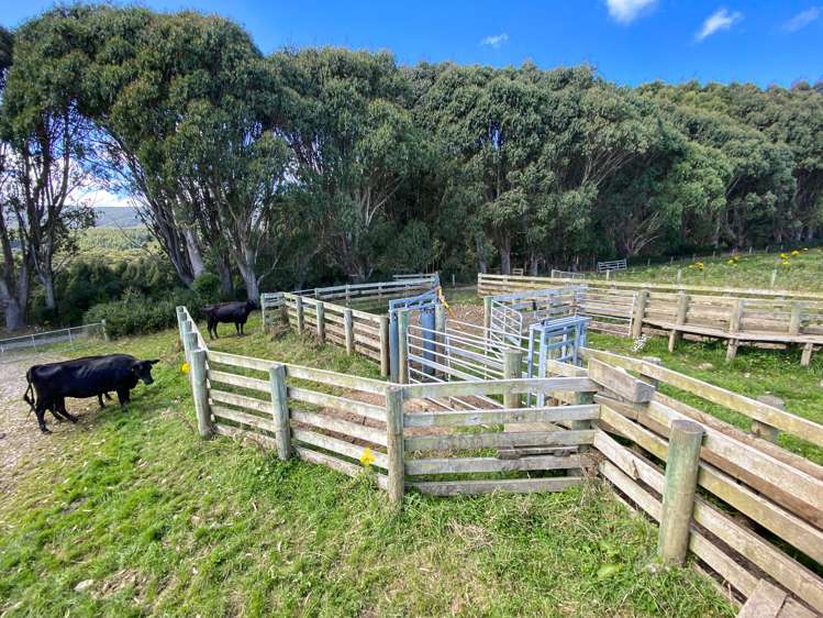 110 Harrison Road Tuatapere_3