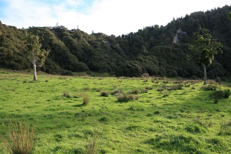 268 Piko Road Okoki_31