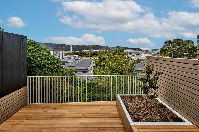 27A Thompson Street Mt Cook_1