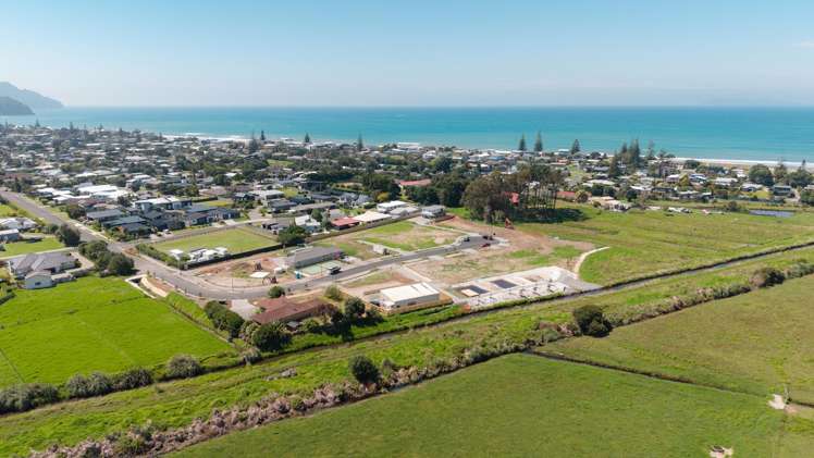 Citrus Avenue Waihi Beach_17