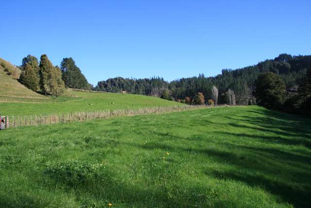 698 Mangaoapa Road Matau_1