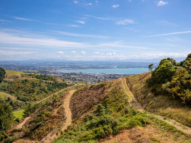 184 Panorama Drive Enner Glynn_6