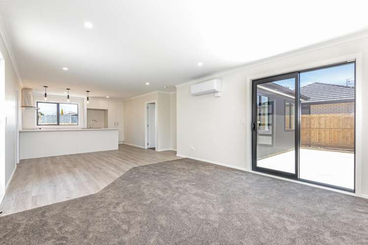 38 Hammond Street Bulls_11