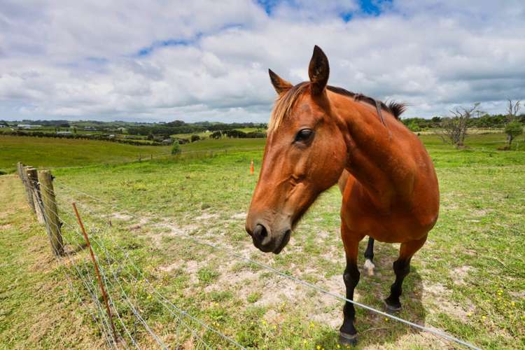 530c Kaiwaka-Mangawhai Road Kaiwaka_5