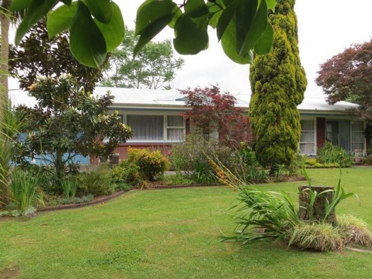 137 Stanley Avenue Te Aroha_2