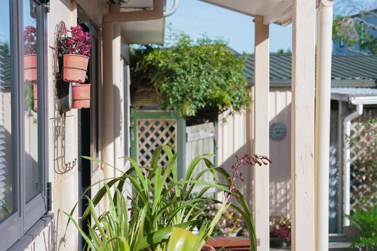 83 Queens Road Waikanae Beach_21